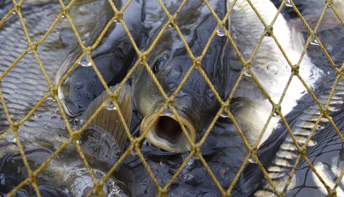 Минэкологии открыло сезон охоты на рыболовов-браконьеров