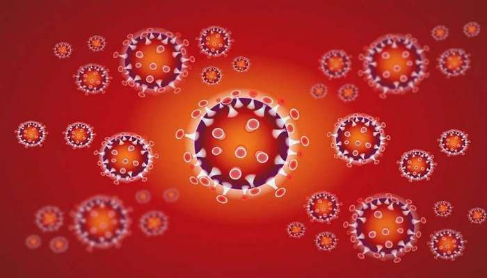 Ученые подтвердили высокий риск повторного заражения коронавирусом