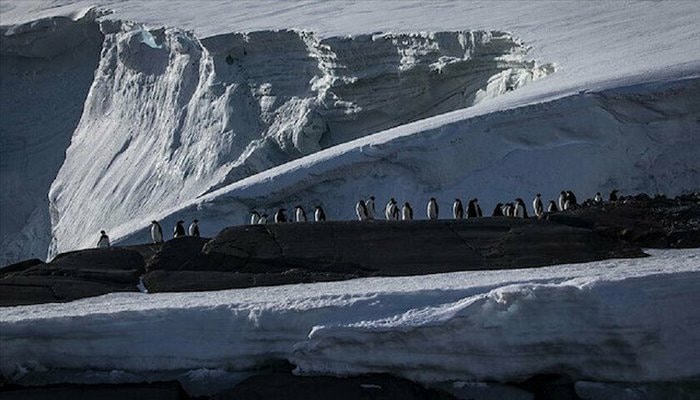 Dünyada koronavirüsün görülmediği tek kıta kaldı: Antarktika