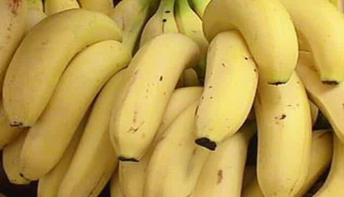 Turkmenistan expecting its first harvest of bananas
