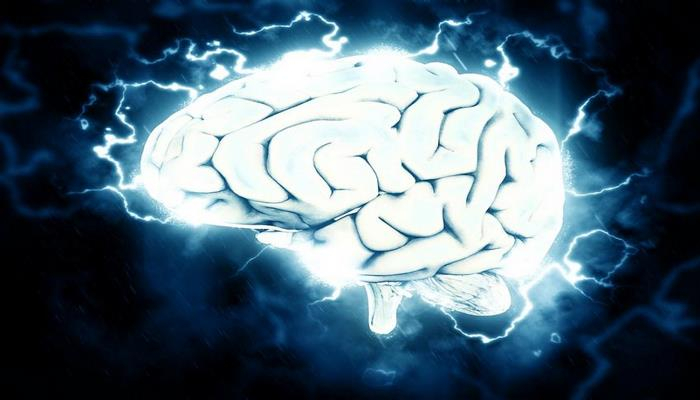 Учёные выяснили, что воздействие электрическим током на мозг способно остановить переедание