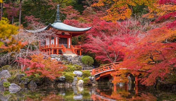 В Японии еще в одном городе придется платить туристический налог