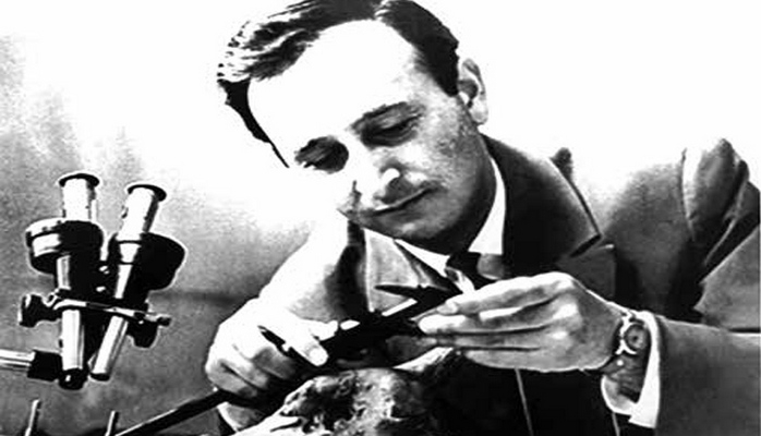 Дамир Гаджиев: ученый установивший древнейшую челюсть человека найденную в СССР