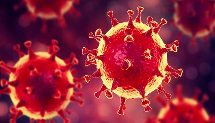 Ученые озадачены гендерной избирательностью коронавируса