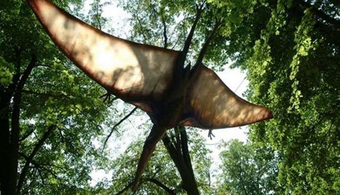 200 milyon yaşı olan uçan dinozavr növü kəşf edildi - Qanadları 12 metrdir