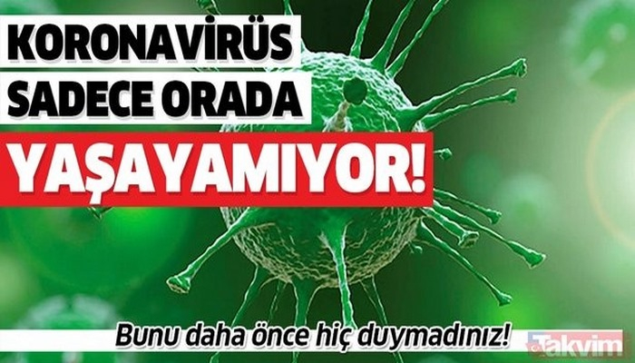 Bunu daha önce hiç duymadınız! İşte koronavirüsün yaşayamadığı tek yüzey!