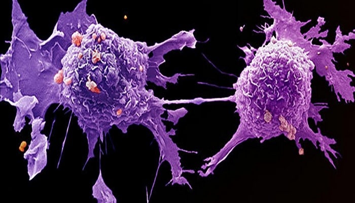 Ученые нашли новый источник разнообразия раковых клеток