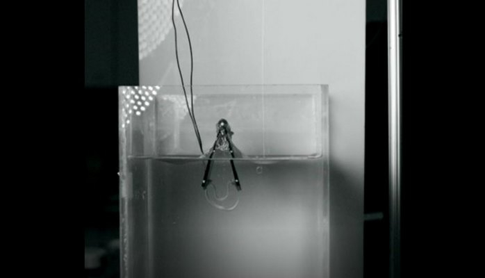 Ученые изобрели подводного прыгающего робота