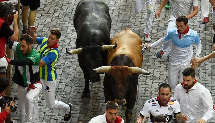 Saudi Arabia to host Spanish-style 'bull run'