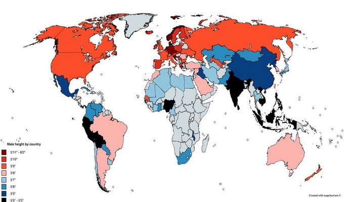 Average human height by country