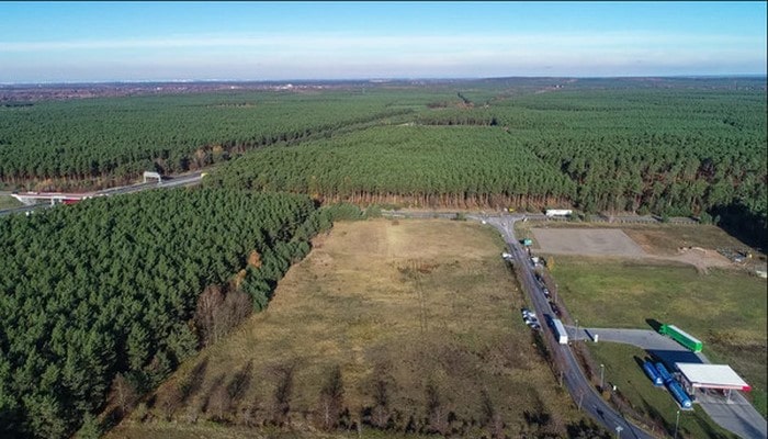 Tesla fabrik açmaq üçün Almaniyada 300 hektar meşəni qıracaq