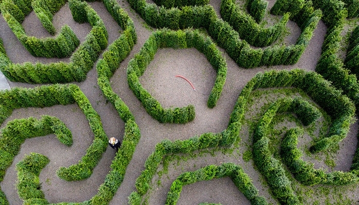 Riyaziyyatçı botanika bağını unikal “yaşıl” labirint formasında layihələndirdi