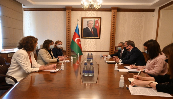 Глава МИД Азербайджана встретился с руководителем представительства МККК в стране