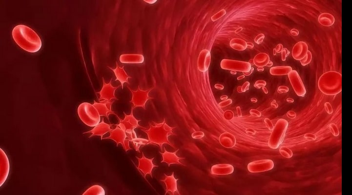 Ученые нашли недорогое средство для лечения рака крови