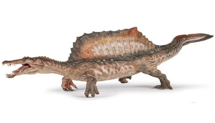 Bilim insanlarından yeni dinozor keşfi: Spinosaurusların yüzdüğü kanıtlandı