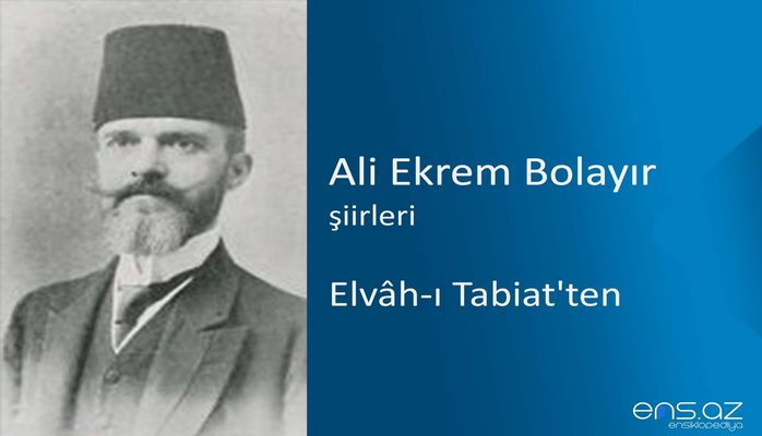 Ali Ekrem Bolayır - Elvah-ı Tabiat'ten