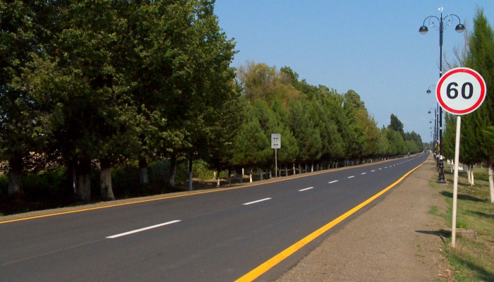 В Лянкяране реконструировано 38 км автодорог общего пользования