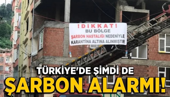 Türkiye'de şimdi de şarbon alarmı!